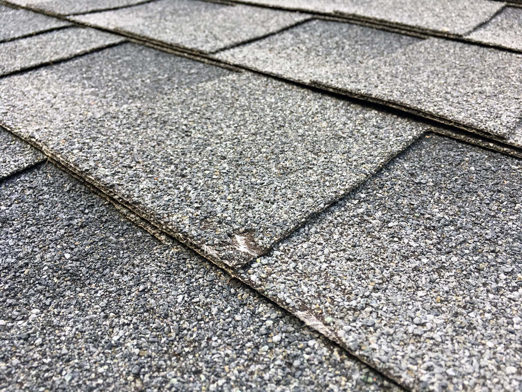 hail damage roof