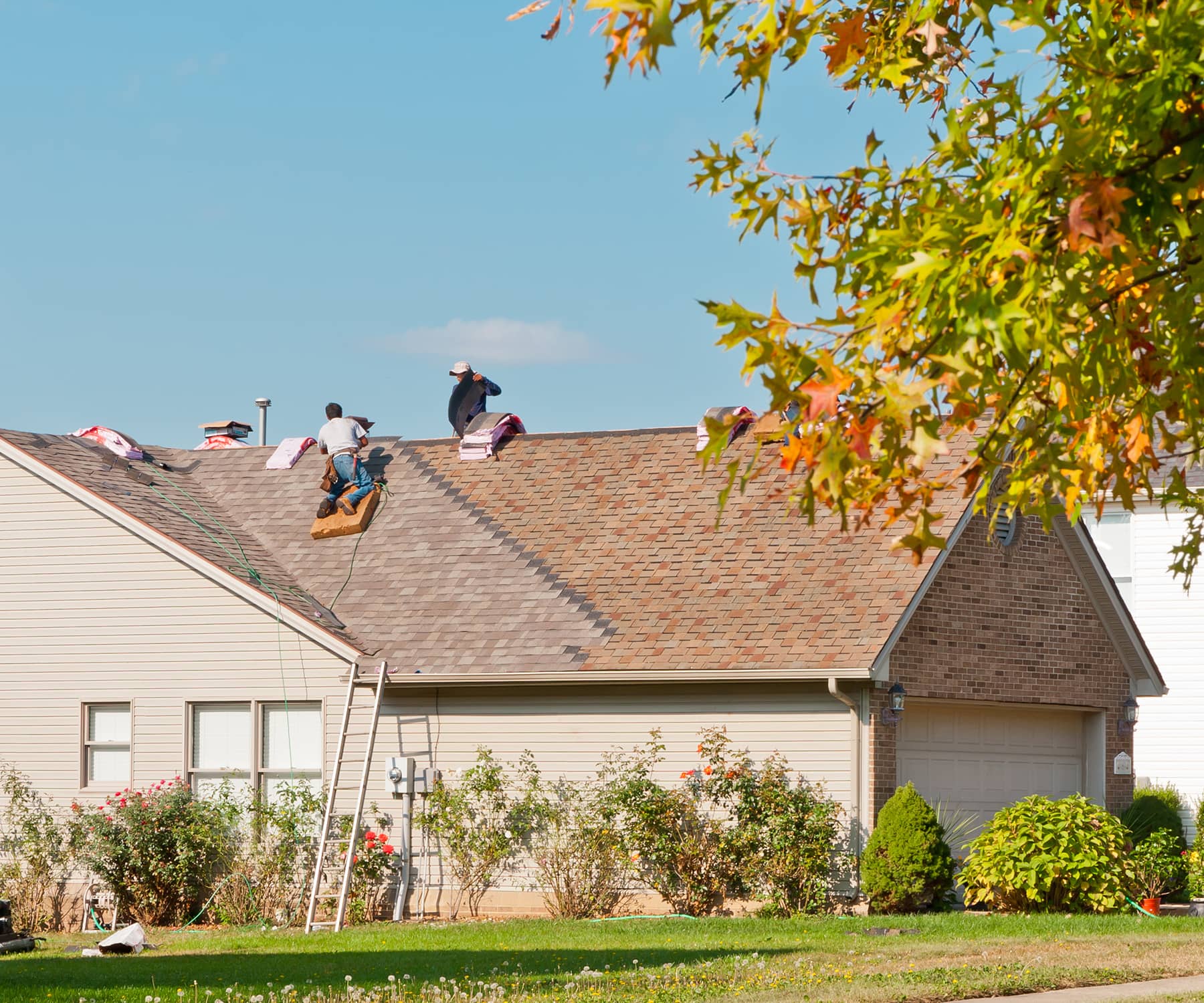 roof how to