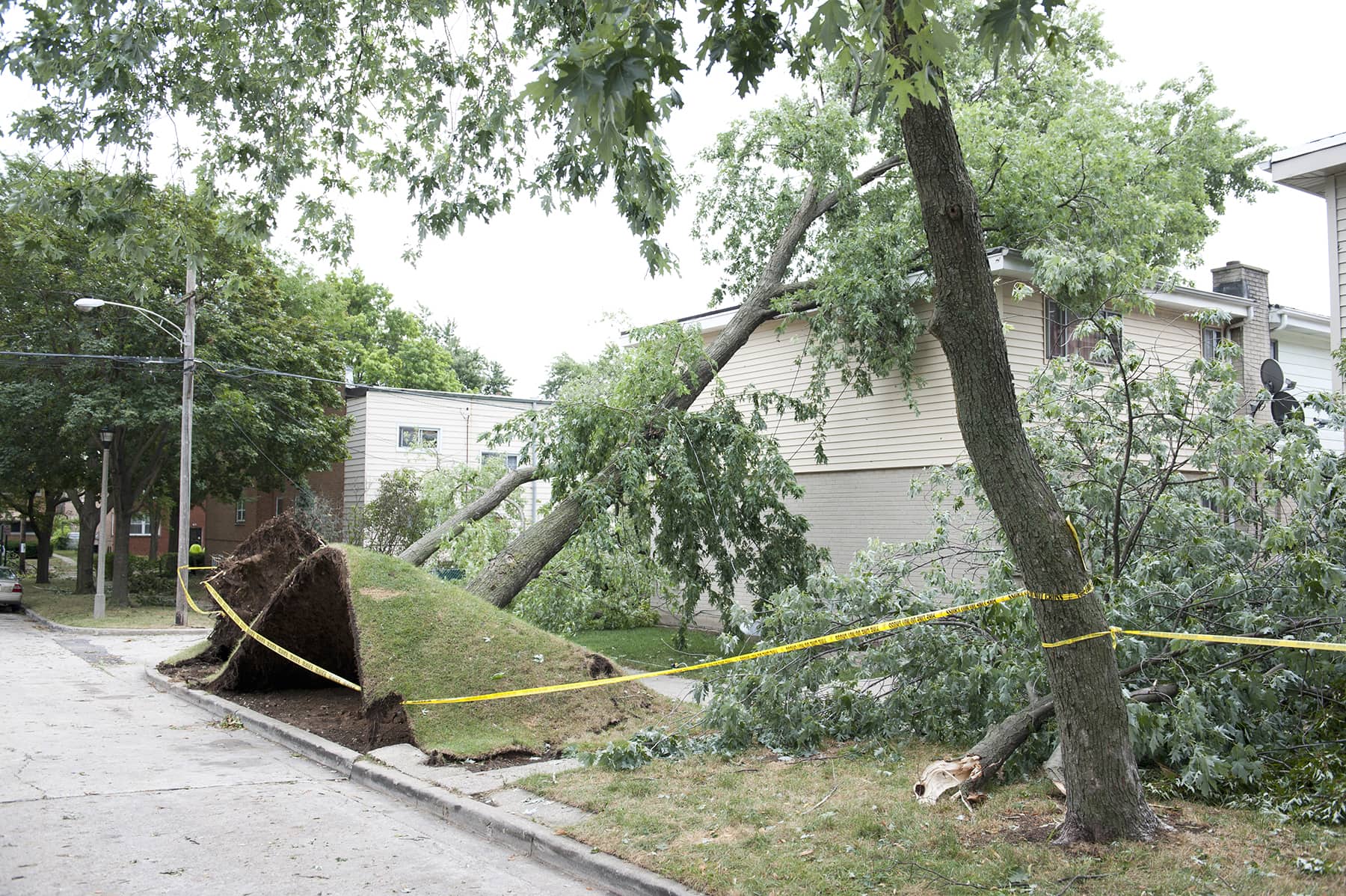 wind damage roof